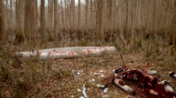 Sharkansas Women's Prison Massacre screenshot 1