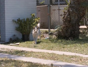 River of Grass screenshot 2