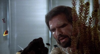 The End screenshot 3