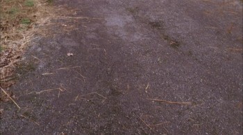 Snowmageddon screenshot 1