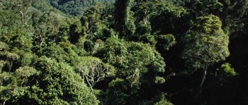 The Ruins screenshot 1