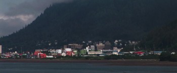 Wildlike screenshot 1