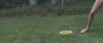 Wildlike screenshot 2