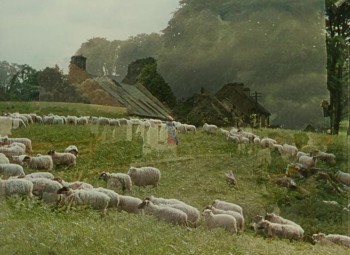 The Quiet Man screenshot 2