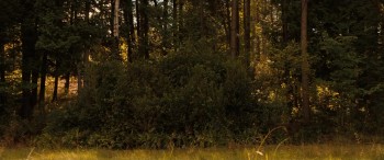 The Time Traveler's Wife screenshot 1