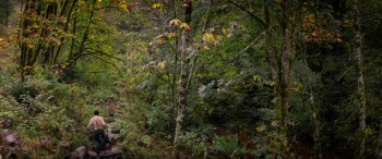 Cabin Fever screenshot 1