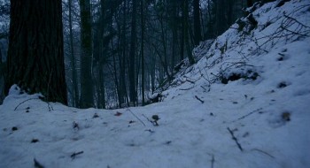 Snow White: A Tale of Terror screenshot 2