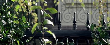 The Haunting of Ellie Rose screenshot 1