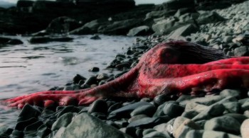 Aliens of the Deep screenshot 2