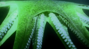 Aliens of the Deep screenshot 3