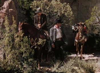 Western Union screenshot 2