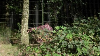 The Human Centipede screenshot 1