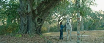 Race to Win screenshot 1