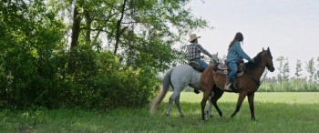 Race to Win screenshot 3