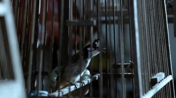 Hard Target 2 screenshot 3