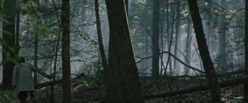 The Sea of Trees screenshot 3