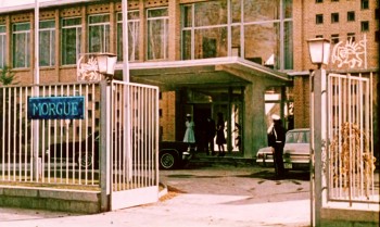 The Poppy Is Also a Flower screenshot 2