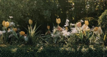 The Ones Below screenshot 1