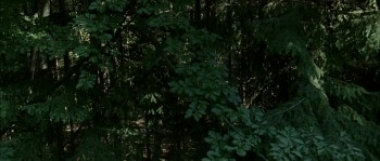 House of Voices screenshot 3