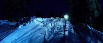 Dead Snow 2: Red vs. Dead screenshot 3