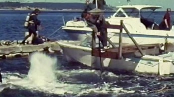 Blackfish screenshot 3