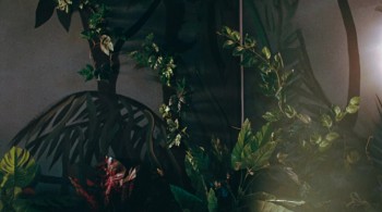 Exotica screenshot 2