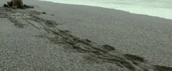 Swiss Army Man screenshot 2