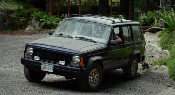 Into the Forest screenshot 1