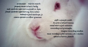 Everything You Always Wanted to Know About Sex * But Were Afraid to Ask screenshot 1