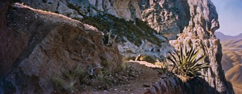 Garden of Evil screenshot 2