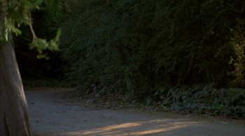 Mega Python vs. Gatoroid screenshot 1