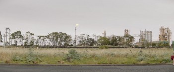 Cut Snake screenshot 2