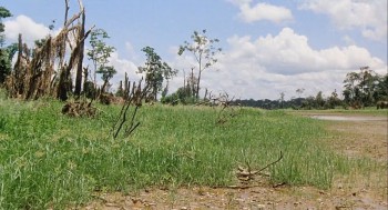 Cannibal Holocaust screenshot 3