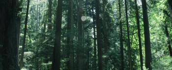 Captain Fantastic screenshot 2