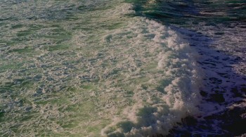 The Last Reef 3D screenshot 2