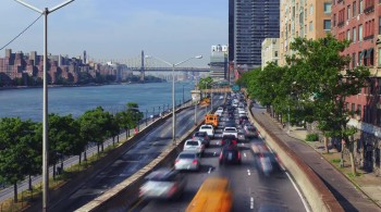 The Last Reef 3D screenshot 3