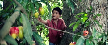 Hands of Stone screenshot 2