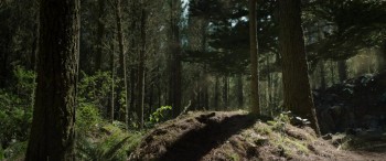 Pete's Dragon screenshot 2