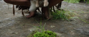 Pete's Dragon screenshot 3