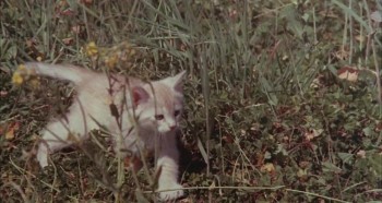 Beware! The Blob screenshot 2