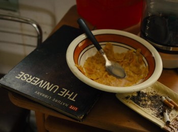 American Honey screenshot 3