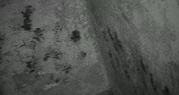 Blair Witch screenshot 1