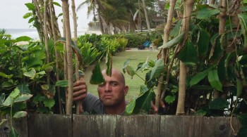 View from a Blue Moon screenshot 2