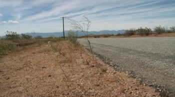 Phantasm: Ravager screenshot 2