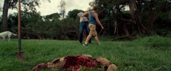 Red Billabong screenshot 1