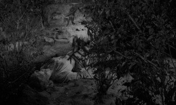 Something Wild screenshot 3