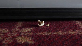 Joker's Wild screenshot 1