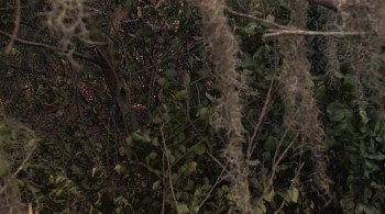 Band of the Hand screenshot 3