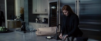 Nocturnal Animals screenshot 3