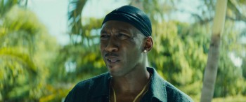 Moonlight screenshot 2